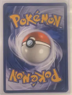 Reshiram & Charizard GX SM201 Jumbo Cards Holo in Top Loader - Image 3