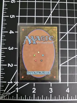 Aang’s Shelter 0007 TLE Borderless NM/M MTG Avatar *FREE SHIPPING* - Image 2