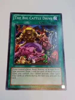 Yugioh TCG Random Sets - Spell Cards - Pick Your Card 1996 - Lightly Played - Image 2
