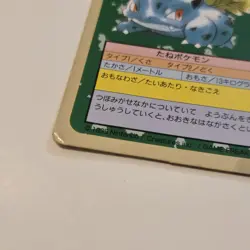 Pokemon Japanese TopSun Green Back Ivysaur Game Freak - Image 2