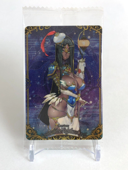 Caster of the Nightless Castle FGO PROJECT Wafer Card R 17 Type-moon Japanese - Image 1