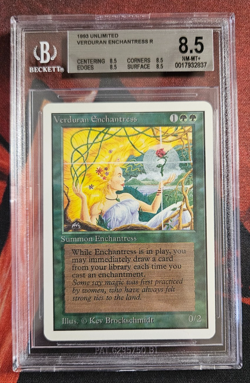 Unlimited - Verduran Enchantress - MTG - NM/MT+ - BGS 8.5 - Image 1