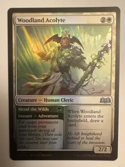 MTG Magic the Gathering Woodland Acolyte (241/515) Wilds of Eldraine LP FOIL - Image 1
