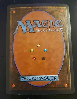 Savannah Revised Edition Regular - Image 2