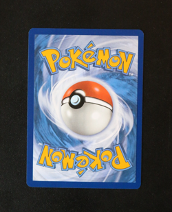 Pokemon Card TCG - Turtonator 146/142 - Stellar Crown - Illustration Rare - NM ⭐ - Image 4