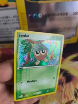 Pokemon Karte Samurzel Seedot Ex Crystal Guardians Reverse Card Holo Mint - Image 4