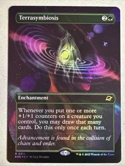 MTG / Terrasymbiosis / EOE / #312 / FOIL (Borderless) / Rare / NM - Image 1