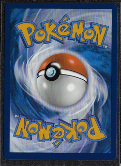 POKEMON SV - Paldean Fates NM Holo TERA Black Star PROMO #074 Shiny CHARIZARD ex - Image 2