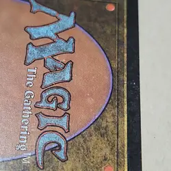 Academy Rector - Image 3