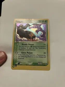 Pokemon TCG Vintage Lot Of 4 Cards Holo And Non Holo - Image 3