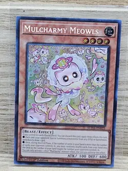 Yugioh Mulcharmy Meowls SUDA-EN025 Supreme Darkness 1st Edition - Image 1