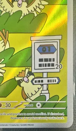 Pokemon Pidgey Pidgeotto Illustration Rare Card Lot Bundle Holo Foil TCG LP 151 - Image 4