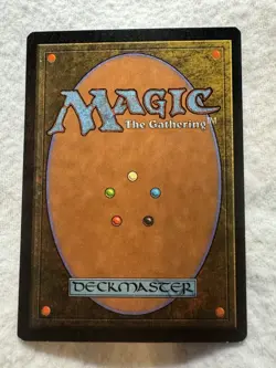 MTG - Desolation - Visions - LP - Free Shipping! - Image 2