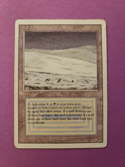 Tundra MtG Revised #289 - Image 1