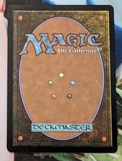 Brave The Elements - NM Promo Player Rewards Textless Full Art English Magic MtG - Image 2