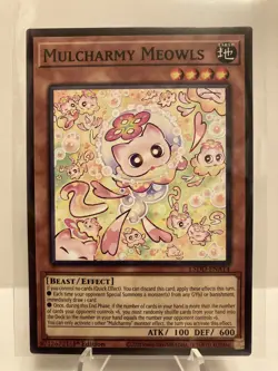 Yu-Gi-Oh! Mulcharmy Meowls L5DD-ENA14 * Legendary 5D's Common * 1st Ed NM - Image 1