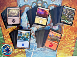 MTG | 500 Ct Basic Land Pack (100 Of Each Land Type) | Magic the Gathering - Image 1