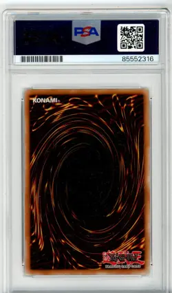 PSA Eric Stuart Signed Blue-Eyes White Dragon (PSR) SBC2-ENB02 Yu-Gi-Oh! TCG - Image 2