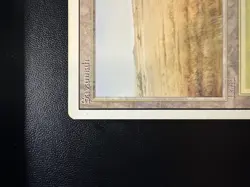 Savannah Revised Edition Regular - Image 2