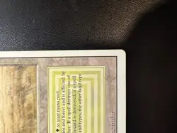 Savannah Revised Edition Regular - Image 4