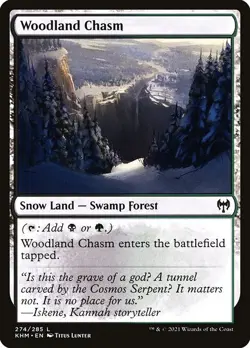 Woodland Chasm 2x FOIL KHM MTG Kaldheim Common MINT black green - Image 1