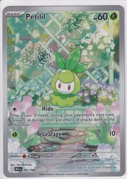 Pokemon TCG Petilil S&V Black Bolt 091/086 Illustration Rare Card NM/MINT - Image 1
