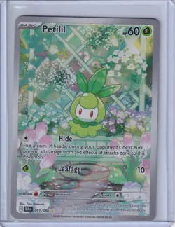 Pokemon TCG Petilil S&V Black Bolt 091/086 Illustration Rare Card NM/MINT - Image 2