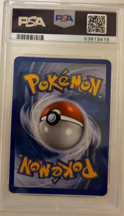 PSA 8 Turtwig Holo DP01 Black Star Promo Diamond & Pearl 2007 Pokemon Card - Image 2