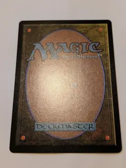 Wan Shi Tong Librarian Mythic Borderless FOIL NM - Magic MTG TLA #0320 - Image 5