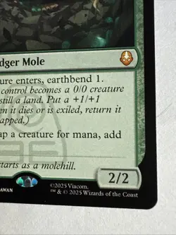 Badgermole Cub Regular NM Avatar: The Last Airbender #167 MTG - Image 4