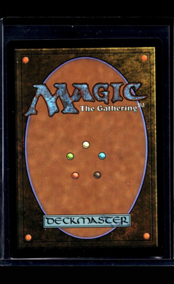MTG Magic The Gathering SLD Secret Lair Borderless #1730 Shield of War and Peace - Image 2