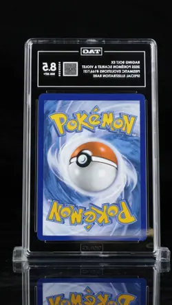 Raging Bolt Ex 2025 Pokemon Scarlet &Violet Prismatic Special Illustration Rare - Image 2