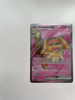 Pokemon TCG Dachsbun EX 160/142 Stellar Crown Ultra Rare NM - Image 3