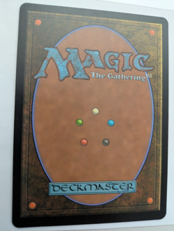 Marrow-Gnawer Champions of Kamigawa MTG NM Free shipping&tracking - Image 4