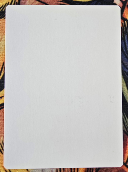 Wall of Wood, Revised (Signed Artist's Proof) Magic the Gathering MTG! - Image 2