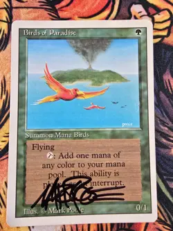 Birds of Paradise, Revised MP (Signed by Artist) Magic the Gathering MTG - Image 1