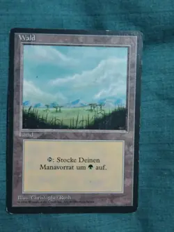 Mtg Misprint Plains Forest Wald German Black Border Revised Basic Land Error - Image 4