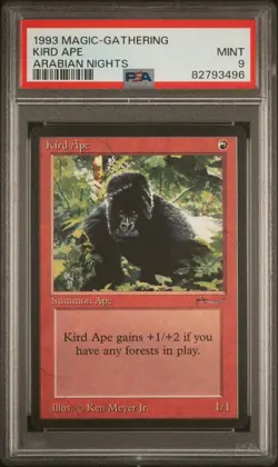 Kird Ape - Arabian Nights - MTG - Mint - PSA 9. More MTG in Store - Image 1