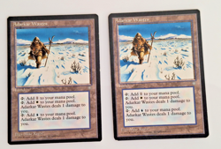 MTG Adarkar Wastes (x2) Ice Age Playset 1995 (LP) - Image 1