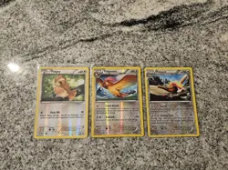 Pokemon Pidgey, Pidgeotto & Pidgeot Reverse Holo 3 Card Lot Evolution Flashfire - Image 1