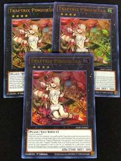 Yugioh Traptrix Pinguicula SDBT-EN042 1ST ULTRA x3 (NM) - Image 1