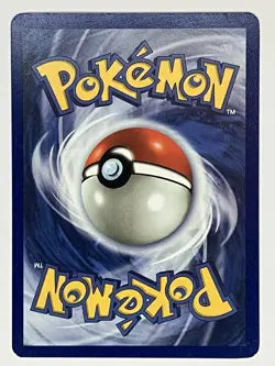 Kabuto NM 50/62 1st Edition Fossil Pokemon TCG Regular - Image 2