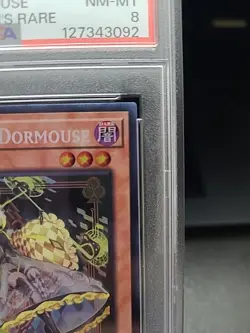 Yu-Gi-Oh Maliss P Dormouse CRBR-EN017 Collector’s Rare - PSA 8 NM-MT Slab Graded - Image 4