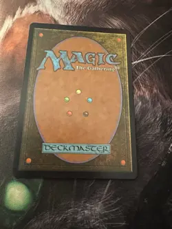 Field of the Dead Halo Foil Secret Lair MTG Encyclopedia Free Shipping - Image 2
