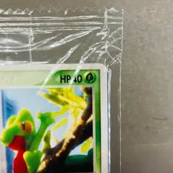 Sealed (EX) Treecko 037/PCG-P Pokemon Center Yokohama Promo Card 2005 Japanese - Image 3