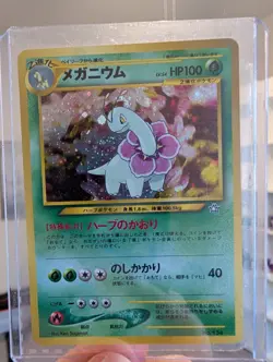 2000s Japanese Pokemon Holo Set: Meganium #154 Typhlosion #157 Feraligatr #160 - Image 4