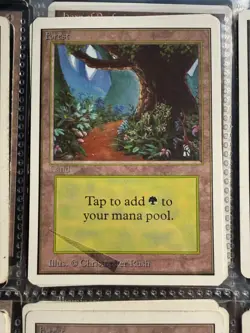 MTG: Magic the Gathering Forest Mana Land MISTAKE NEVER PLAYED - Image 3