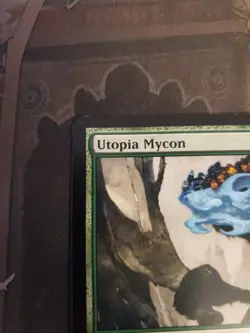 Magic The Gathering Utopia Mycon Future Sight Uncommon LP 2007 - Image 2