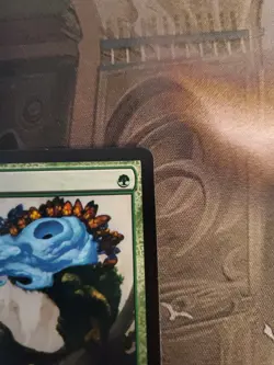 Magic The Gathering Utopia Mycon Future Sight Uncommon LP 2007 - Image 3