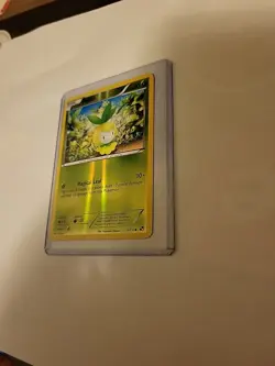 Pokemon TCG Black and White 9/114 Petilil Reverse Holo - Image 1